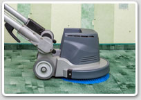 Local Carpet Cleaning